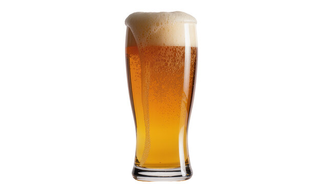 Golden amber beer with frothy white foam head in a clear pilsner glass, isolated on transparent background