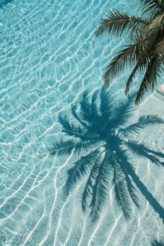 Aqua waves and coconut palm shadow on blue background. Water pool texture top view.