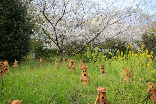 愛媛県松山市　五郎兵衛谷古墳群
