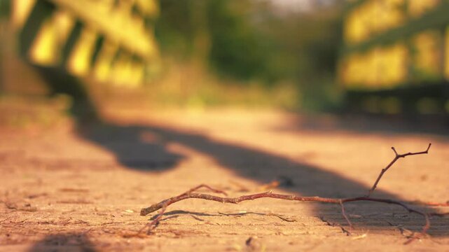 Foot in boots stands on twig on wooden bridge