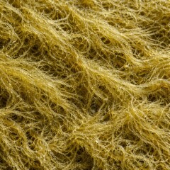 Fototapeta premium Marine Algae Texture Seamless Pattern. Close-up algae growth surface detail. Natural aquatic plant design. Realistic algae texture background. Detailed underwater macro close-up. Organic marine patter