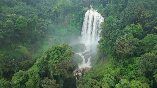 Aerial view of the powerful Curugsewu Waterfall cascading down amidst lush green trees and vegetation, Kendal Regency, Central Java, Indonesia.