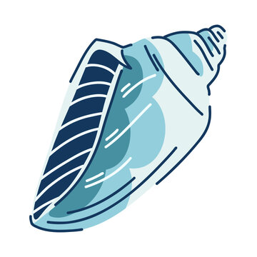 Smooth sea shell of gastropod mollusk strombus canarium in azure color on white, decorative shell, sound of surf noise