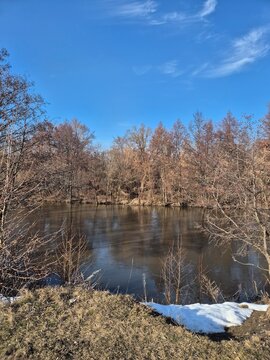 lake in the forest