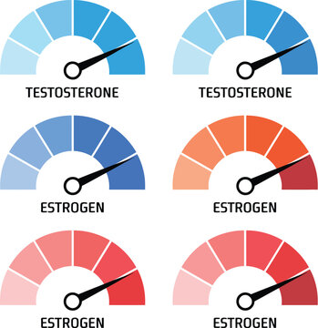 : Hormone level gauge set featuring blue testosterone meters and red estrogen meters in symmetrical 2x3 grid with segmented semicircular dial