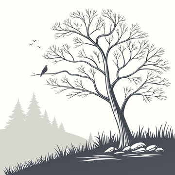 Bare tree with birds and forest landscape in the background nature scene