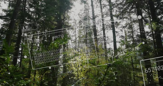 Sensors scanning canopy, projecting numbered panels and nodes, updating then exiting for ecology