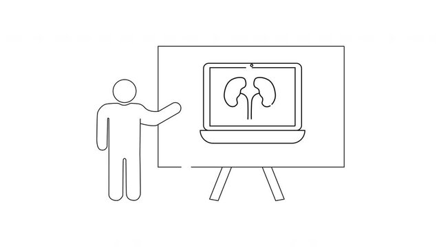 Kidney Presentation - Medical Illustration and Anatomical Overview.