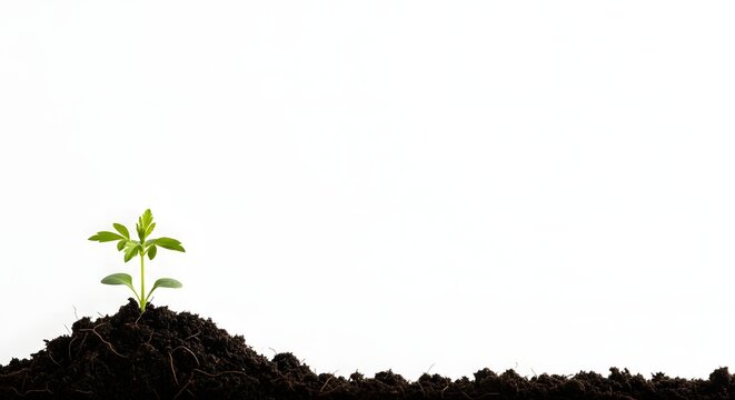 Happy earth day a sprouting seedling symbolizes growth renewal and environmental consciousness for a healthier planet