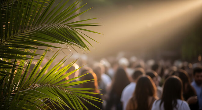 Crowd of people at outdoor event in warm golden sunlight with palm leaves