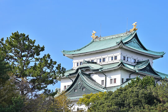 緑の中の名古屋城　愛知県名古屋市