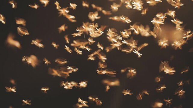 Abstract and magical image of flying moths.