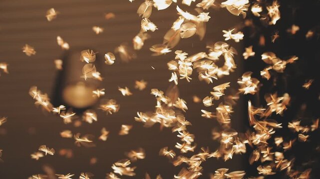 Abstract and magical image of flying moths.