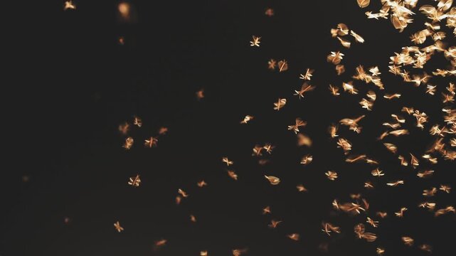 Abstract and magical image of flying moths.