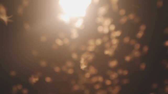 Abstract and magical image of flying moths.
