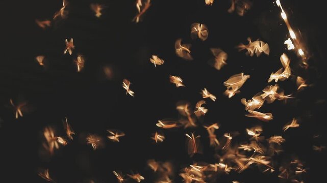 Abstract and magical image of flying moths.