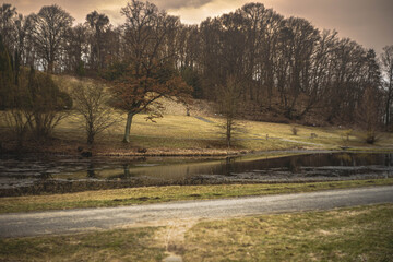 Myślęcinek Bydgoszcz Ogród Botaniczny © FotoJoker