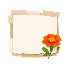 Fototapeta premium PNG Vintage floral scrapbook frame