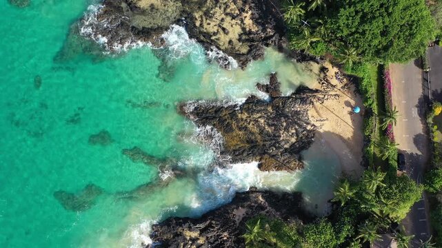 Beautiful hidden lagoon with palm trees Maui 4K