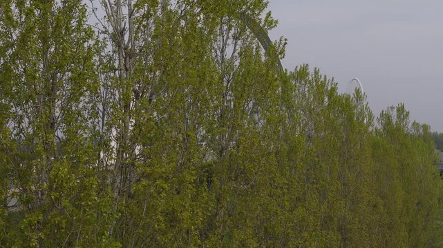 Ponte A1 Reggio Emilia