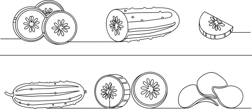 Cucumber outline vector set. Hand drawn slices and whole cucumber illustrations. Simple line art vegetable design for food, cooking, packaging and organic themes.