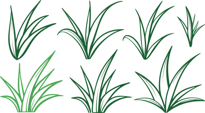 Green grass doodle collection with varying blade lengths and shades blades leaves