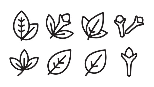 Herbal Leaf and Spice Icons Set: Botanical Elements and Natural Ingredients Outline Graphics