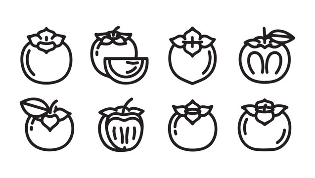 Persimmon Fruit Icons Set Various Styles Line Art Isolated