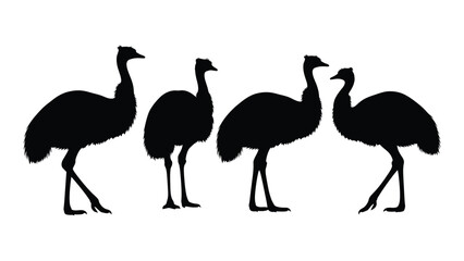 Fototapeta premium Four emu silhouettes shown in varying poses against a white background