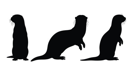 Three black silhouettes of otters in varying upright poses against a white background © Payara
