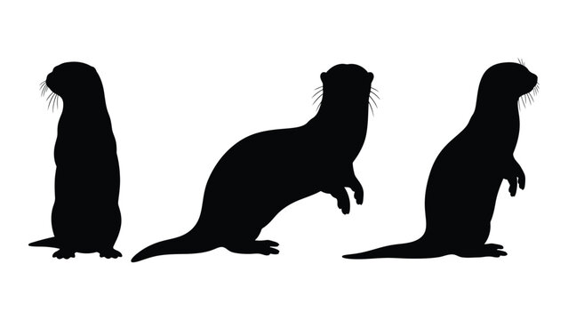 Three black silhouettes of otters in varying upright poses against a white background