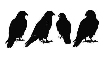 Fototapeta premium Silhouettes of four eagles in various poses against a white background