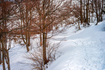 Trekking trail covered by the snow, in the alps of Biella Province (Northern Italy, Piedmont Region), during early springtime. © stefanopez