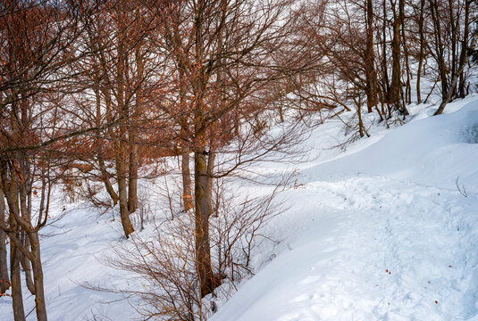 Trekking trail covered by the snow, in the alps of Biella Province (Northern Italy, Piedmont Region), during early springtime.