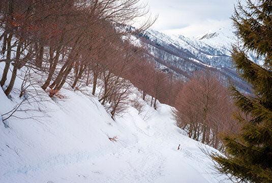 Trekking trail covered by the snow, in the alps of Biella Province (Northern Italy, Piedmont Region), during early springtime.