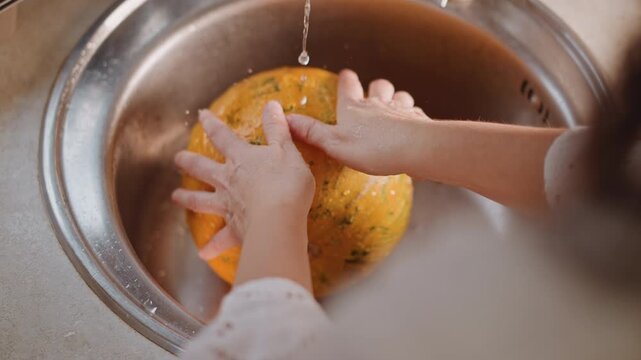 Child rinsing pumpkin with water at sink. Young helper washing pumpkin vigorously for baking project. Child scrubbing pumpkin at sink under bright daylight before making pie filling