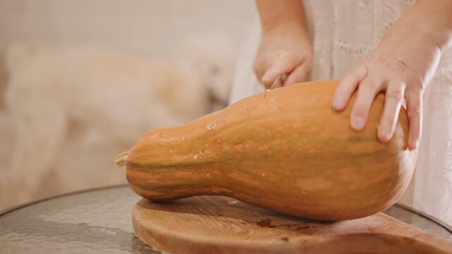 Pumpkin on cutting board being sliced while pet watches, hands steady long squash and kitchen knife glides through orange flesh, preparation for homemade pie and baking, cozy domestic atmosphere