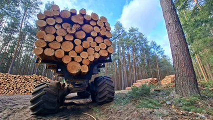 Lumberjack with modern harvester working in a forest. Wood as a source renewable energy.  © Kletr