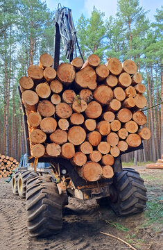Lumberjack with modern harvester working in a forest. Wood as a source renewable energy.	