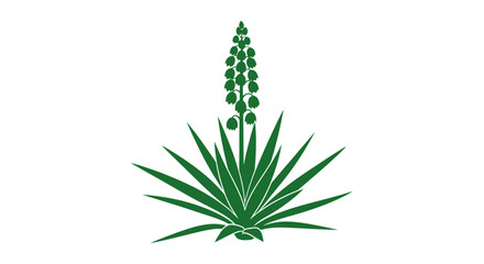 Fototapeta premium Green Aloe Vera Plant with Flower.