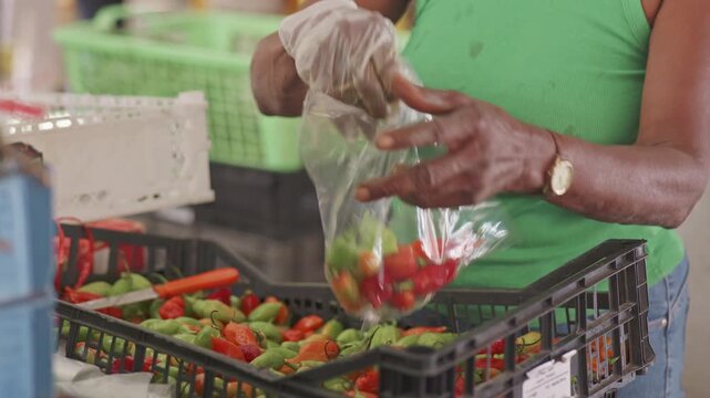 Martinique Market Vendor Packing Fresh Hot Chili Peppers: Authentic Caribbean Food Culture in Fort-de-France