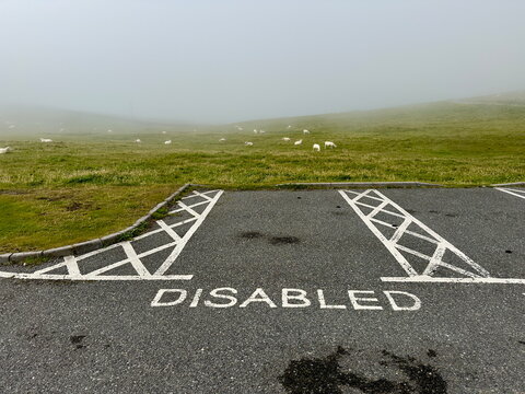Disabled bay has been marked out on tarmac .Situated in wild area with sheep and fog in background.Dramatic.Accessibility