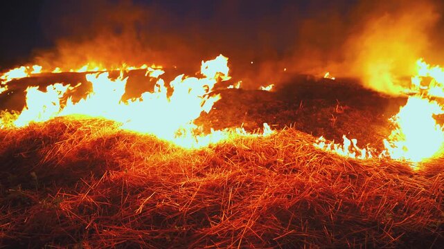 Large flames spread across harvested wheat field at night. Thick smoke covers the sky. Dry stubble burns fast. Climate change and environmental disaster concept. Extreme heat and drought impact.
