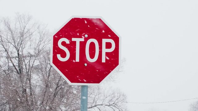 Stop Signs in Winter Snowfall Street Signs Video