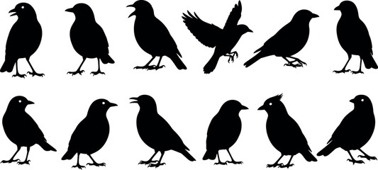 Obraz premium Black bird silhouette collection diverse poses and wing positions a graphic representation