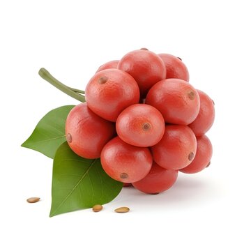 Annatto Seeds Cluster with Vibrant Red Bixa Orellana Fruits and Fresh Green Leaves Isolated on a Clean White Background in a Detailed 3d Render for Botanical and Culinary Design