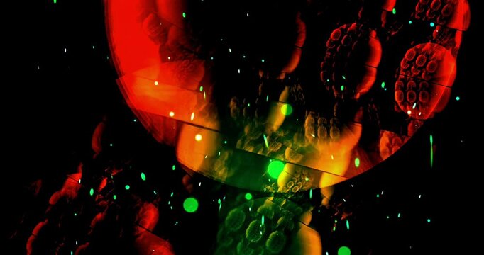 Shapes transform and colors change as patterns flow and move in space with bright lights and animations present throughout