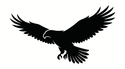 Obraz premium silhouette of a soaring eagle bird of prey