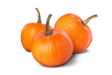 Obraz premium Fresh ripe pumpkins on white background. Gourd vegetable