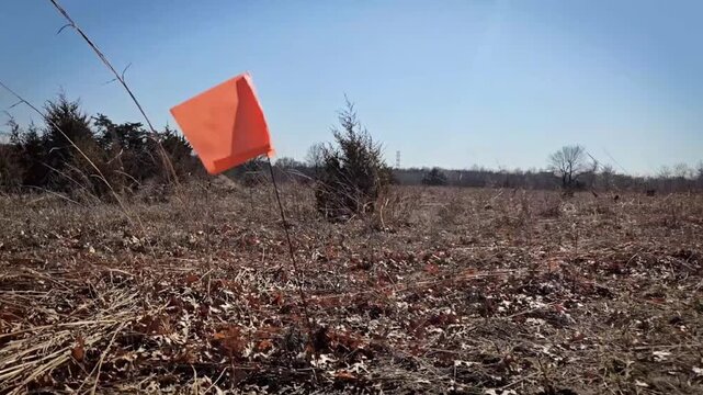 Orange Survey or Utility Flag in Field Blowing in the Wind. Video with Sound. 